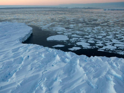Microplastics found in Antarctic sea ice for first time, scientists say